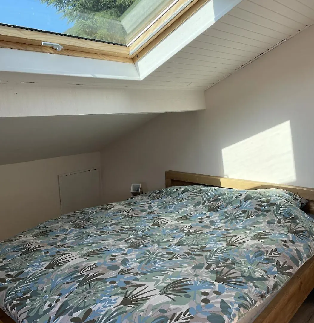 Cosy Chalet Annecy Lake For A Family Sevrier France